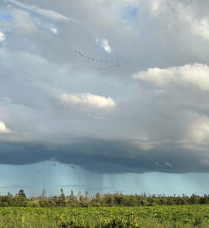 Aunties’ Story Circle - 2